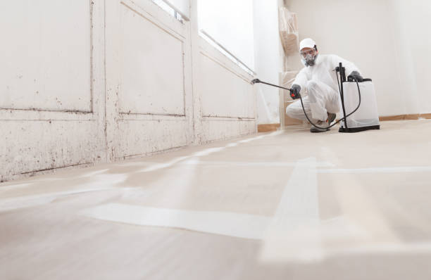 24/7 Emergency Mold Remediation experts in Regency at Monroe, NJ
