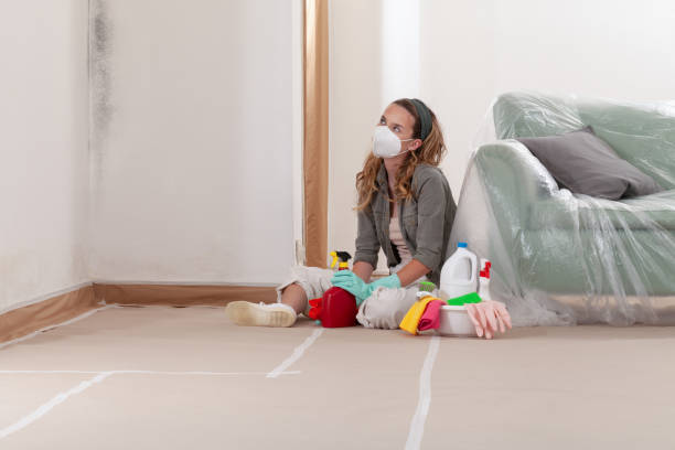 Reliable Mold Remediation contractor in Regency at Monroe, NJ by 24 Hour Mold Removal